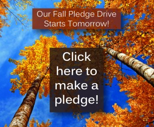 Make a pledge now!