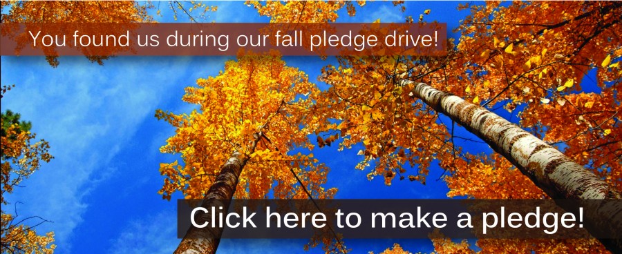 Our Pledge drive is happening now! Click here to make a pledge of support to KCPW!