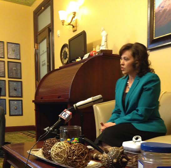 House Speaker Becky Lockhart takes questions from the press on February 19, 2014.