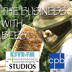 Business_with_Bees_240_medium