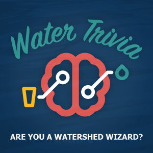 Water Trivia @ Squatters Brewery |  |  | 
