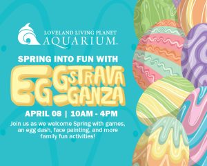 Eggstravaganza @ Loveland Living Planet Aquarium  |  |  | 